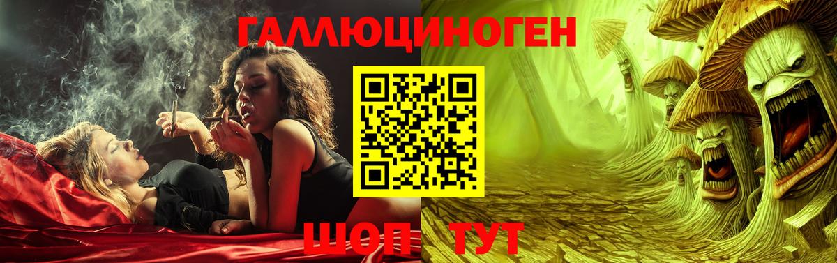 Карпинск  Галлюциногенные грибы Psilocybe  Вход с VPN 